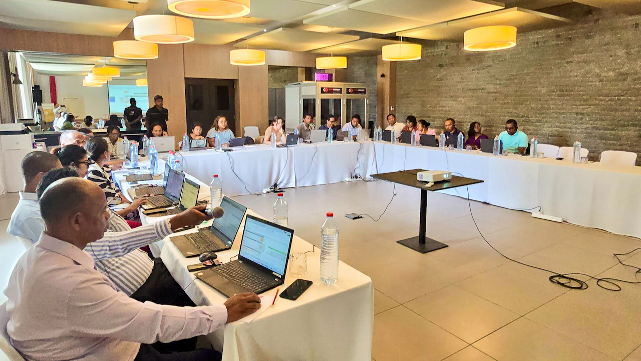 Renforcement de capacités. Tarification des miniréseaux