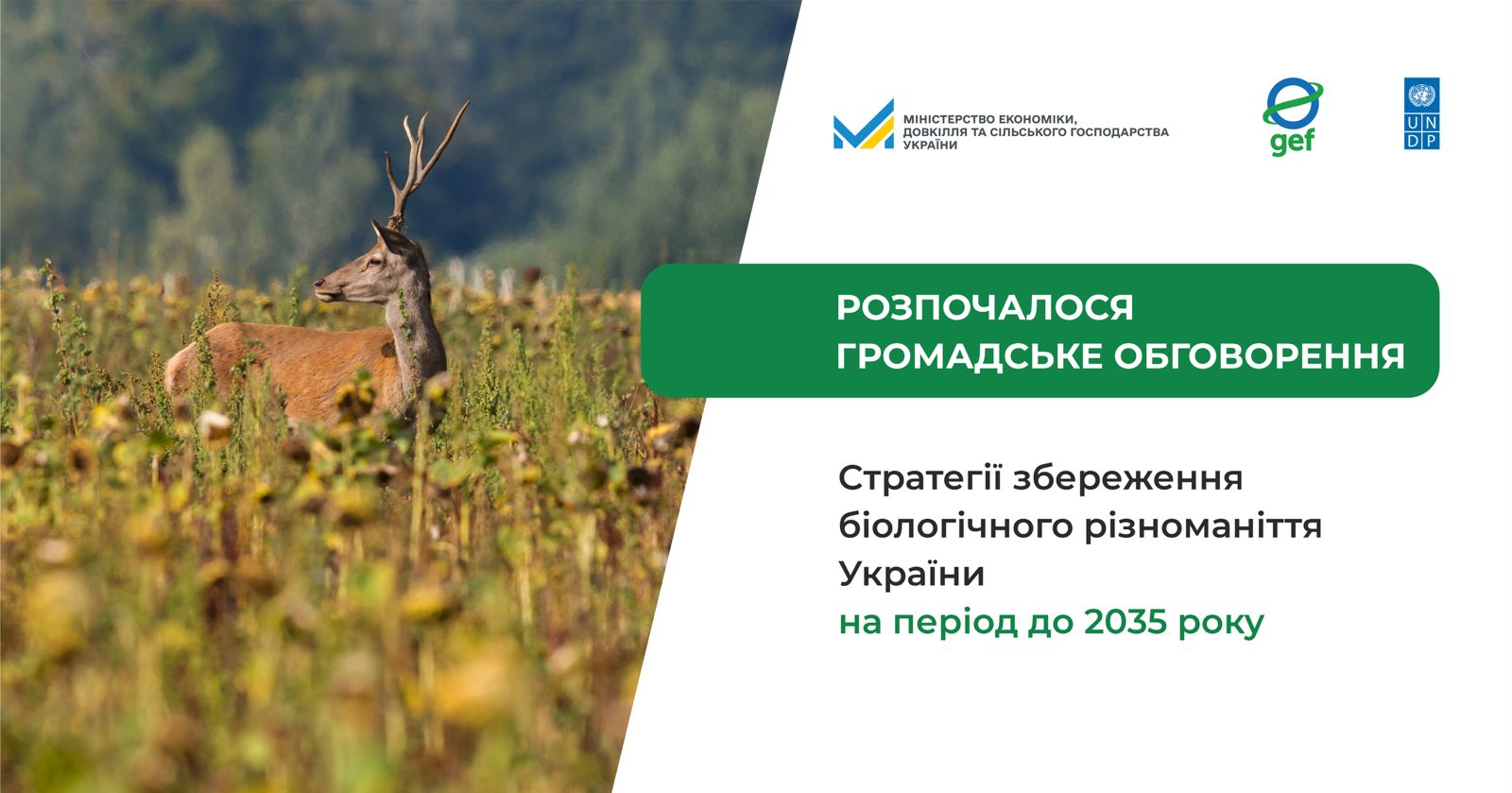 Photograph of a deer in a sunlit meadow; right: Ukrainian banner with text and logos.