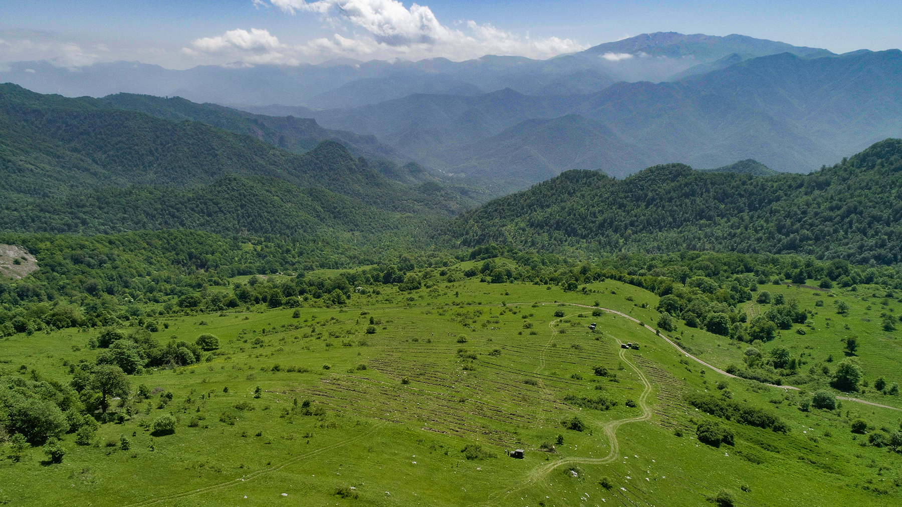 Photograph of lush valley with winding dirt path, sparse trees, and distant mountains.