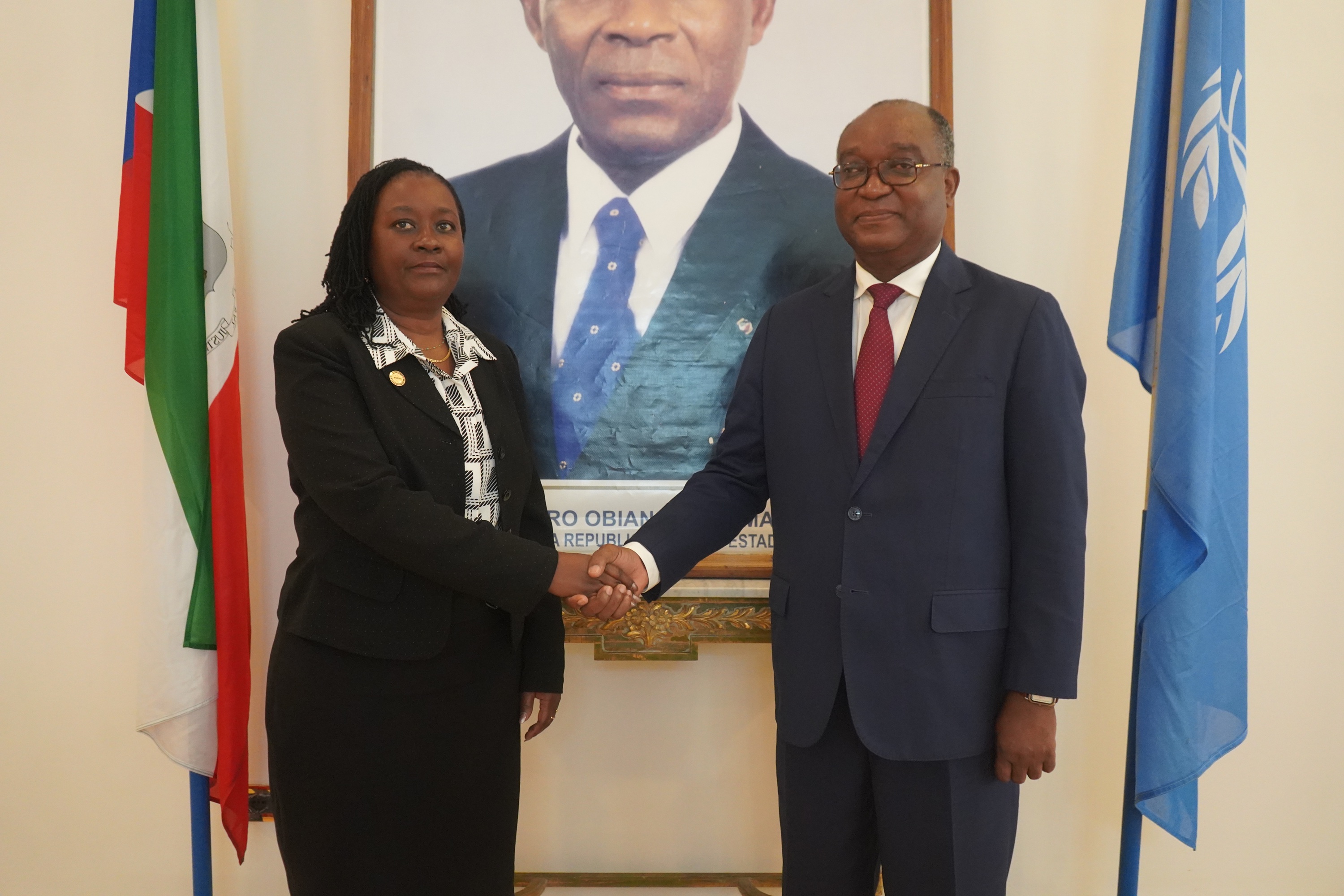 Two professionals shake hands in a formal room, with a framed portrait and flags behind.