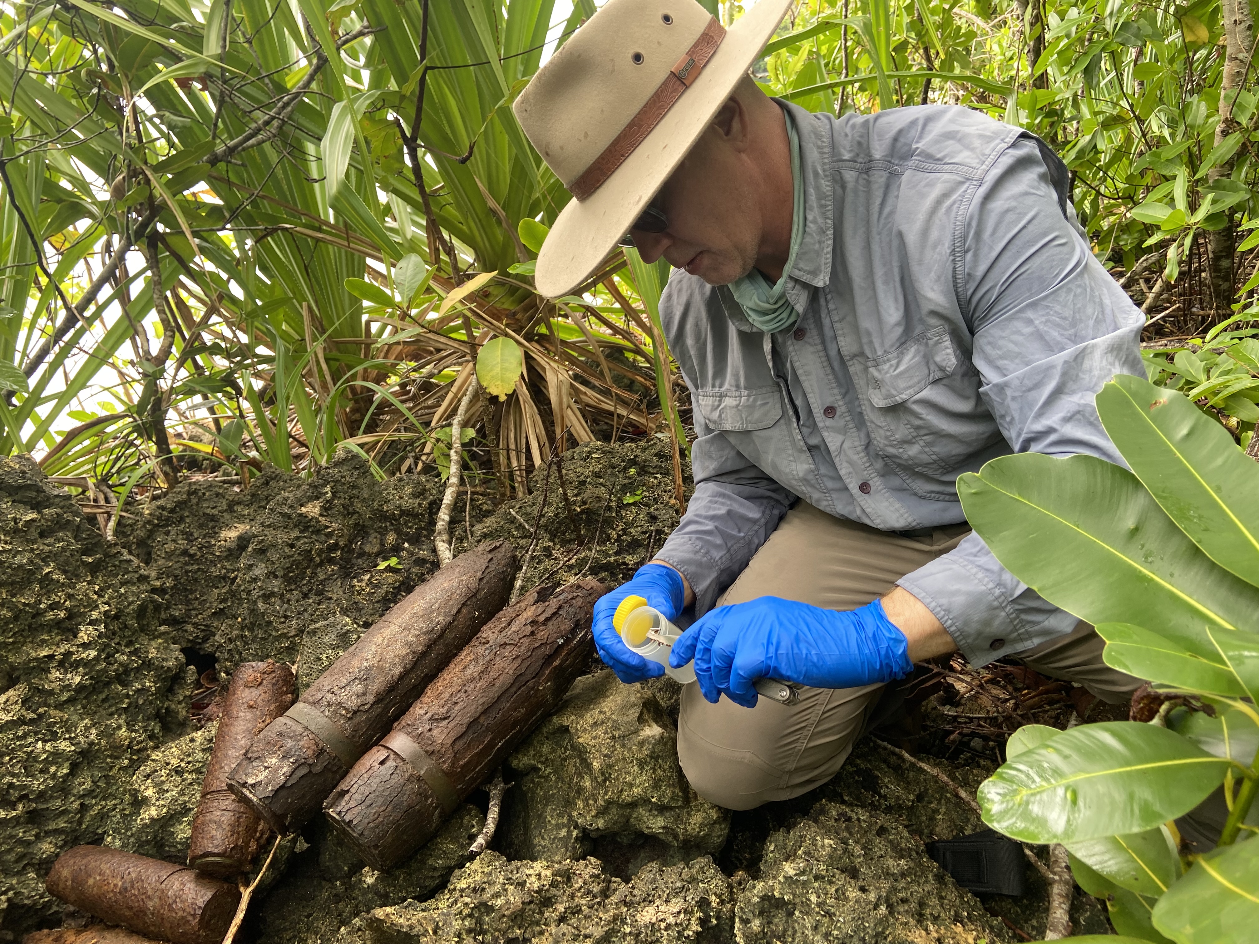 Man wearing a straw hat and blue gloves kneels beside cut logs in a lush garden.
