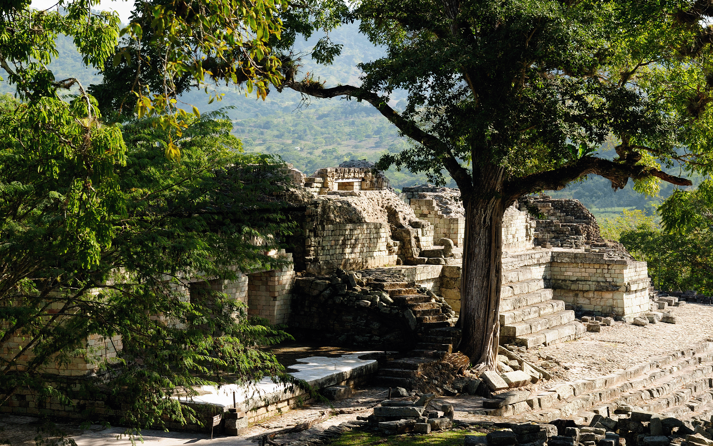 Ancient terraced stone ruins amid trees beside a rocky stream and distant hills.