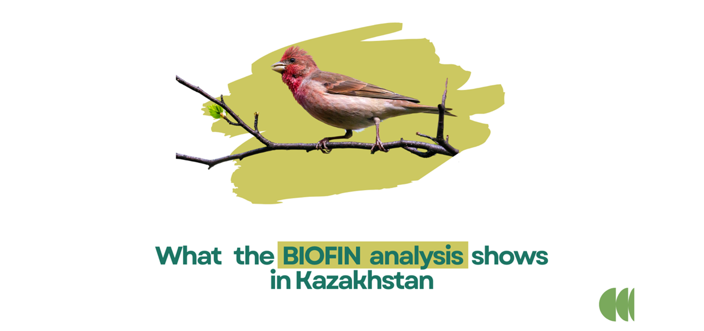 Bird perched on a branch over a green oval; caption: What the BIOFIN analysis shows in Kazakhstan.
