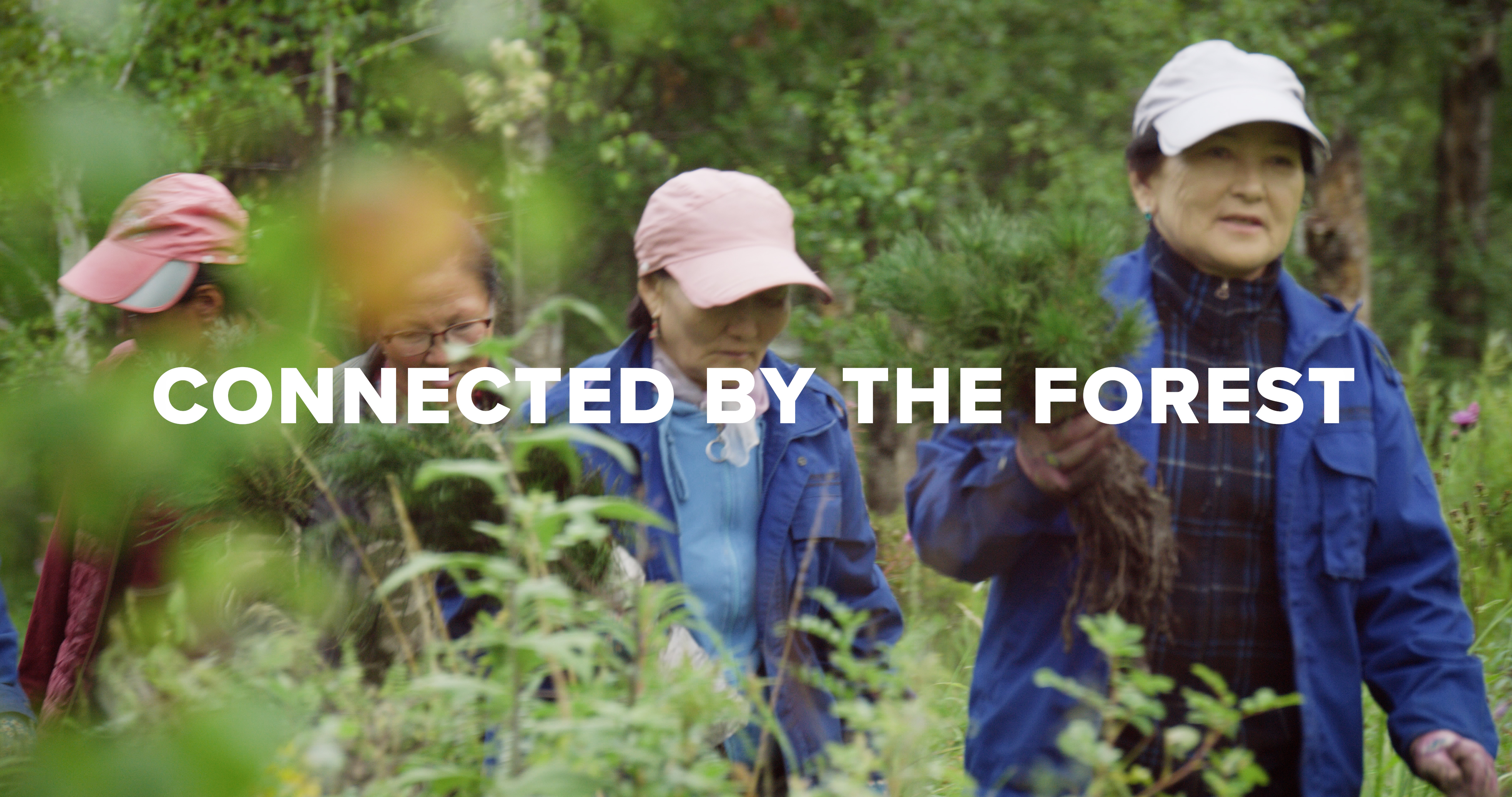 Group of hikers in a lush forest with the slogan 'Connected by the Forest' across.