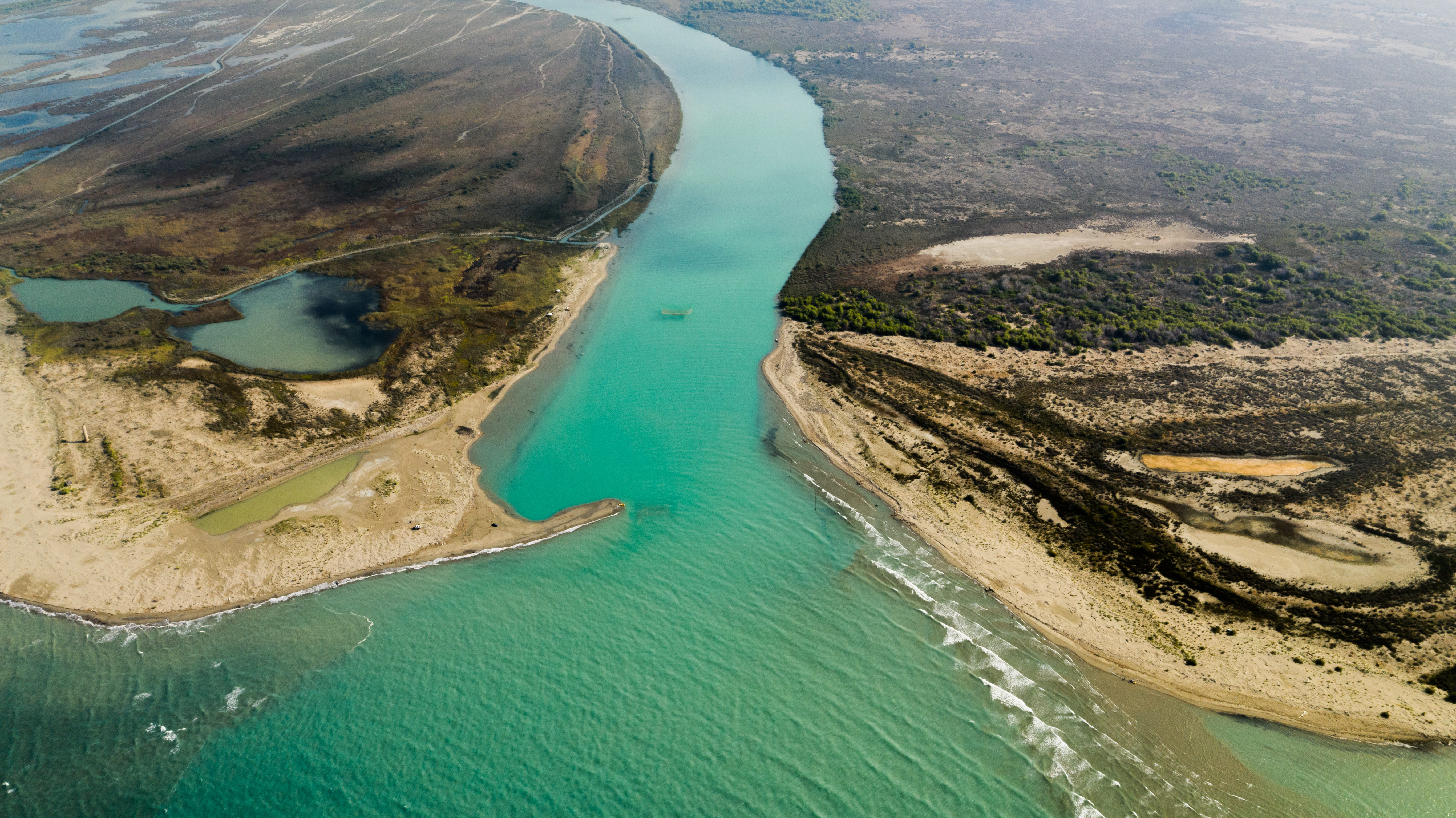 Under the Vjosa National Park Management Plan, EU4Nature has launched concrete restoration work: three hectares of riparian habitat are being restored, 7,500 native plants in the ground, and local communities engaged as active partners in conservation.