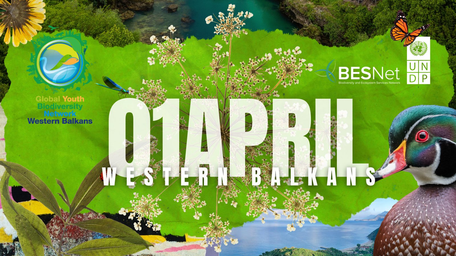 Colorful landscape banner reading 01 APRIL Western Balkans with sun, birds, and flowers.