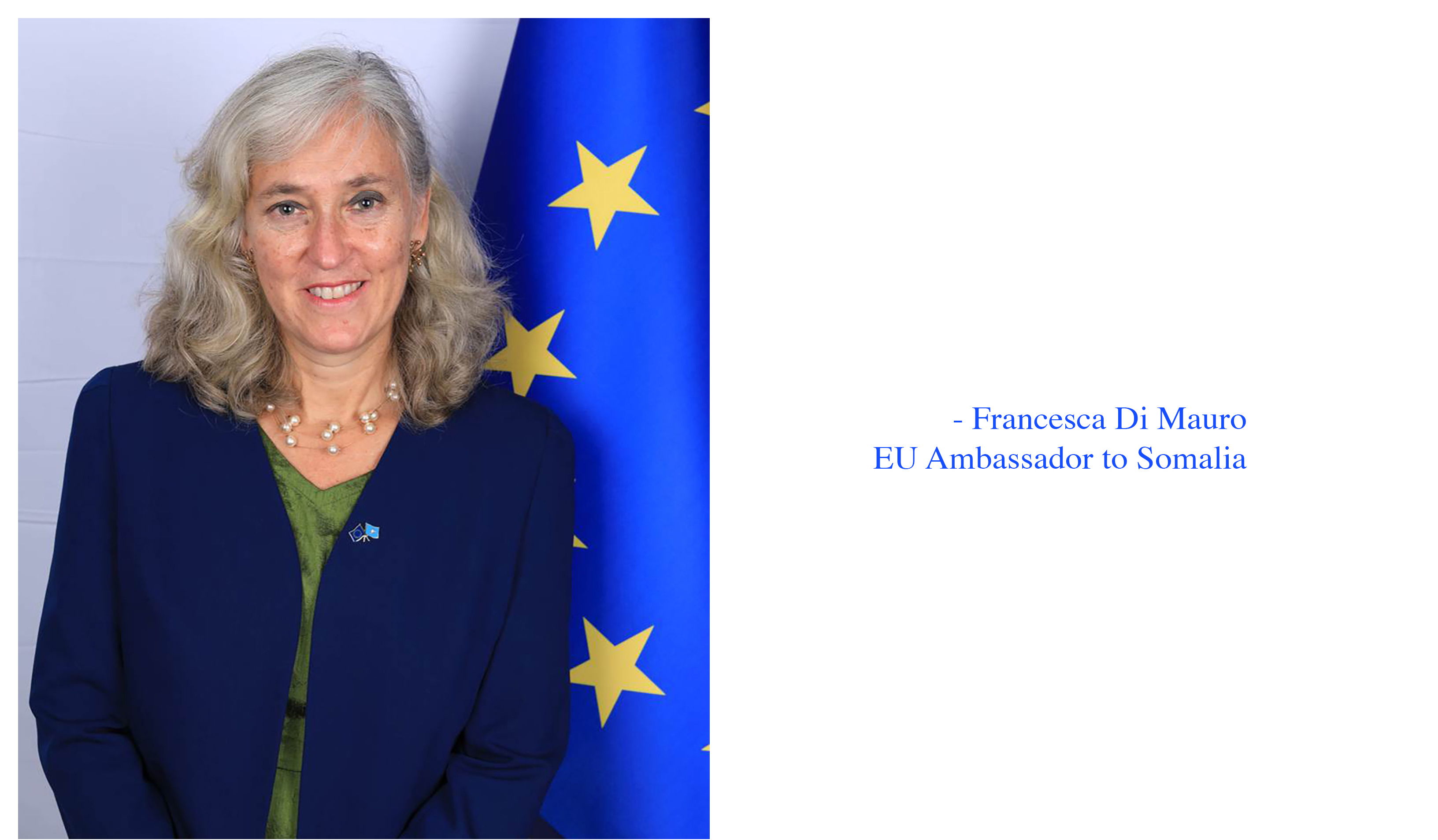 EU Ambassador to Somalia. Photo: EU Delegation