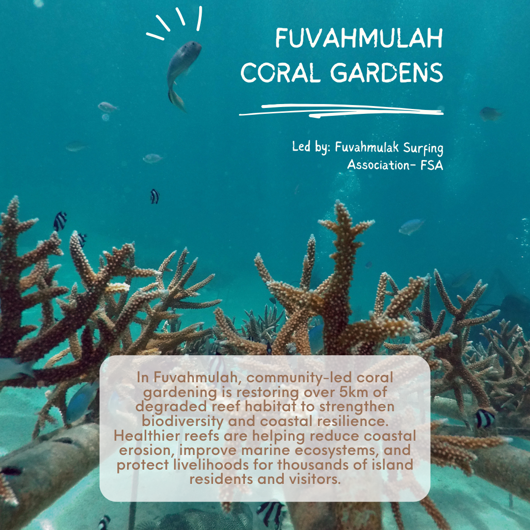 Underwater coral reef with a sea turtle; blue banner reads Fuvahmulah Coral Gardens.