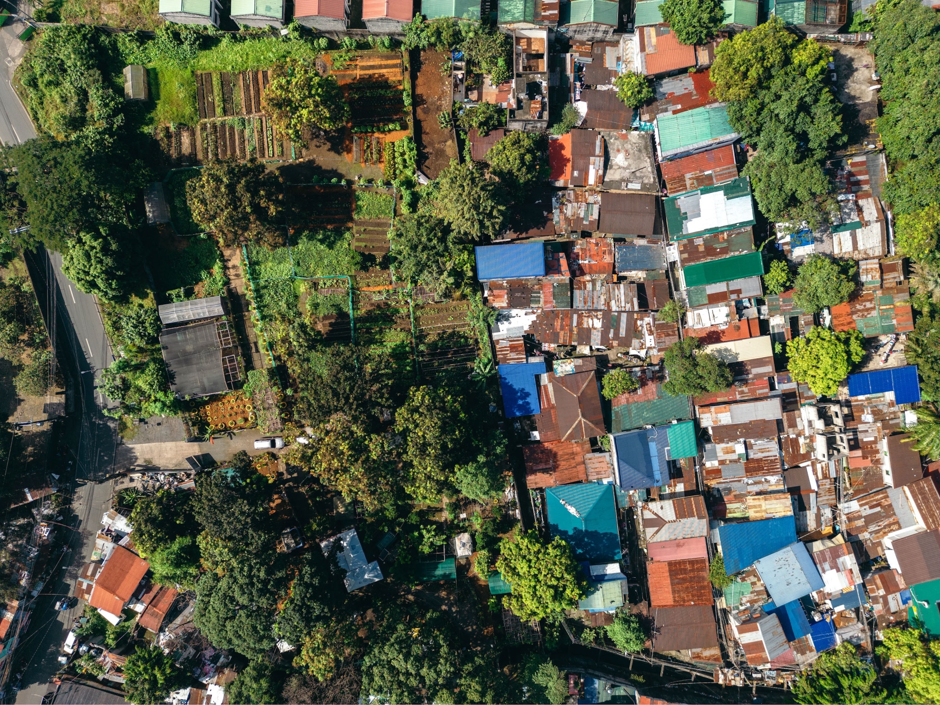 Aerial view of a densely packed residential neighborhood with colorful metal roofs and trees