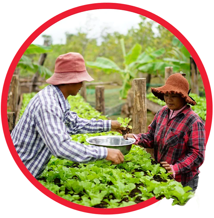 Two farmers in plaid shirts and sun hats exchange produce in a lush garden.