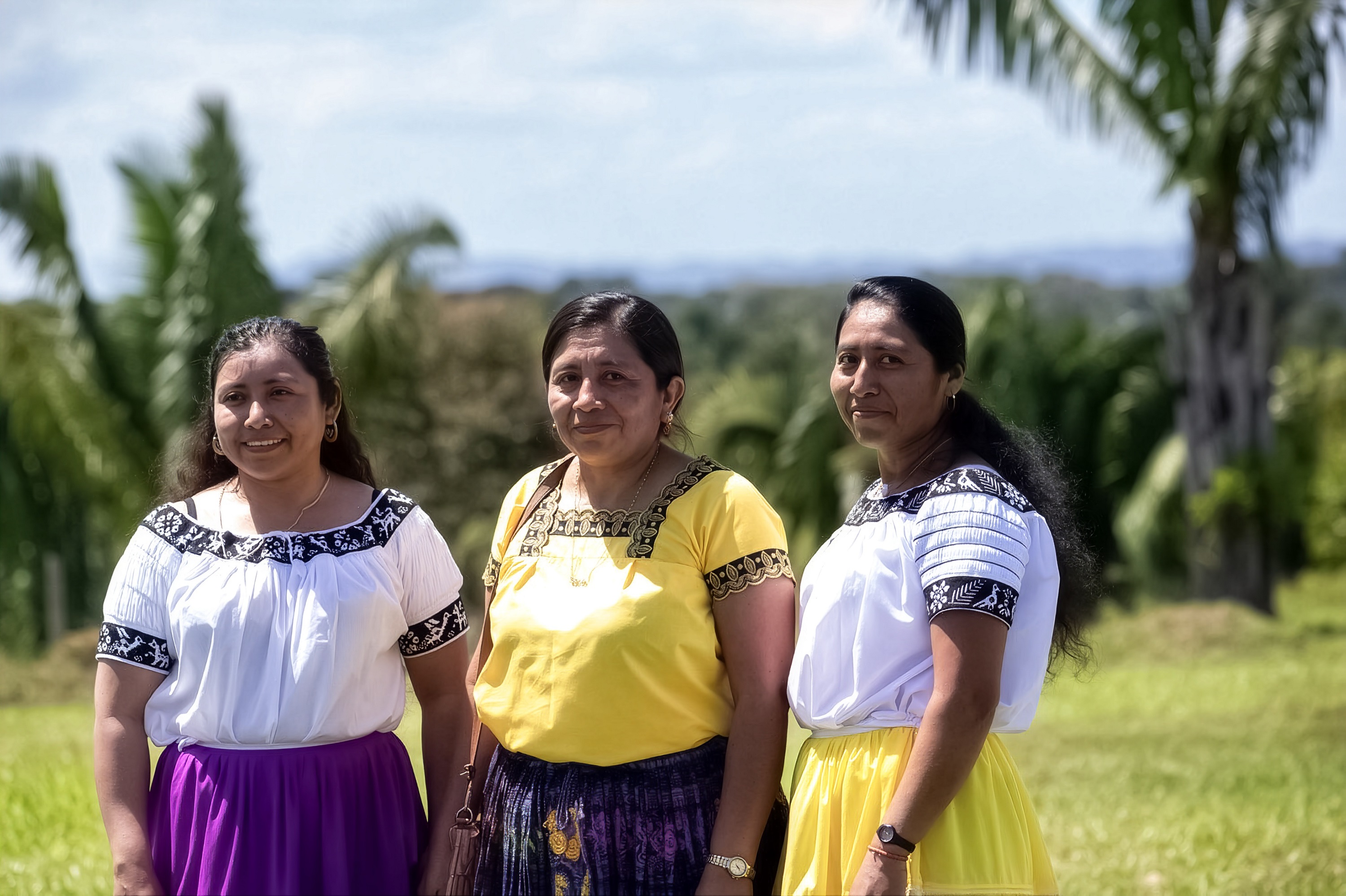 Three women posing outdoors in a sunny grassy field with palm trees in the background.