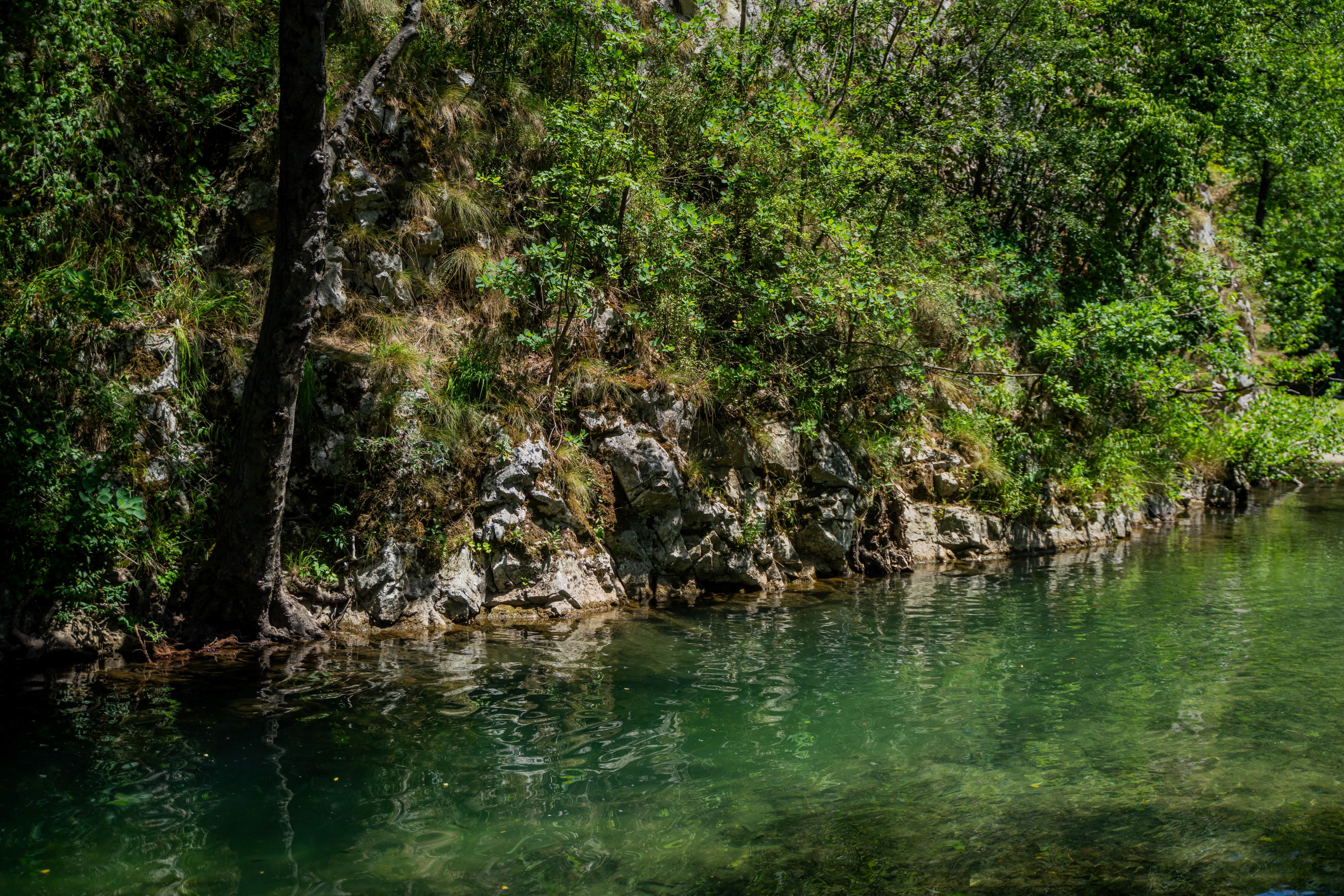 Tranquil green river bordered by a rocky, tree-lined bank.