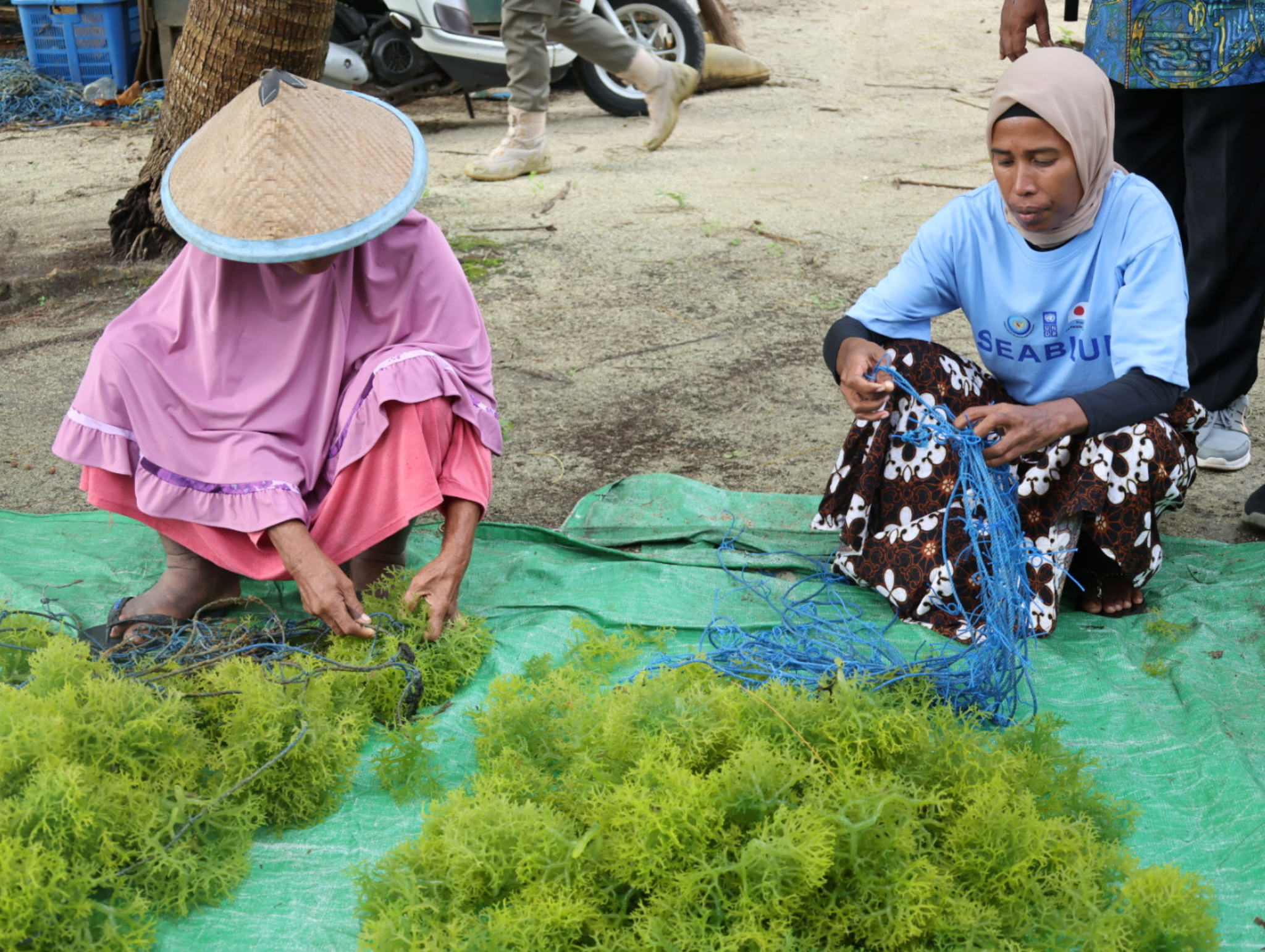 Two women wearing straw hats sit on the ground beside a blue tarp, selling fresh herbs.