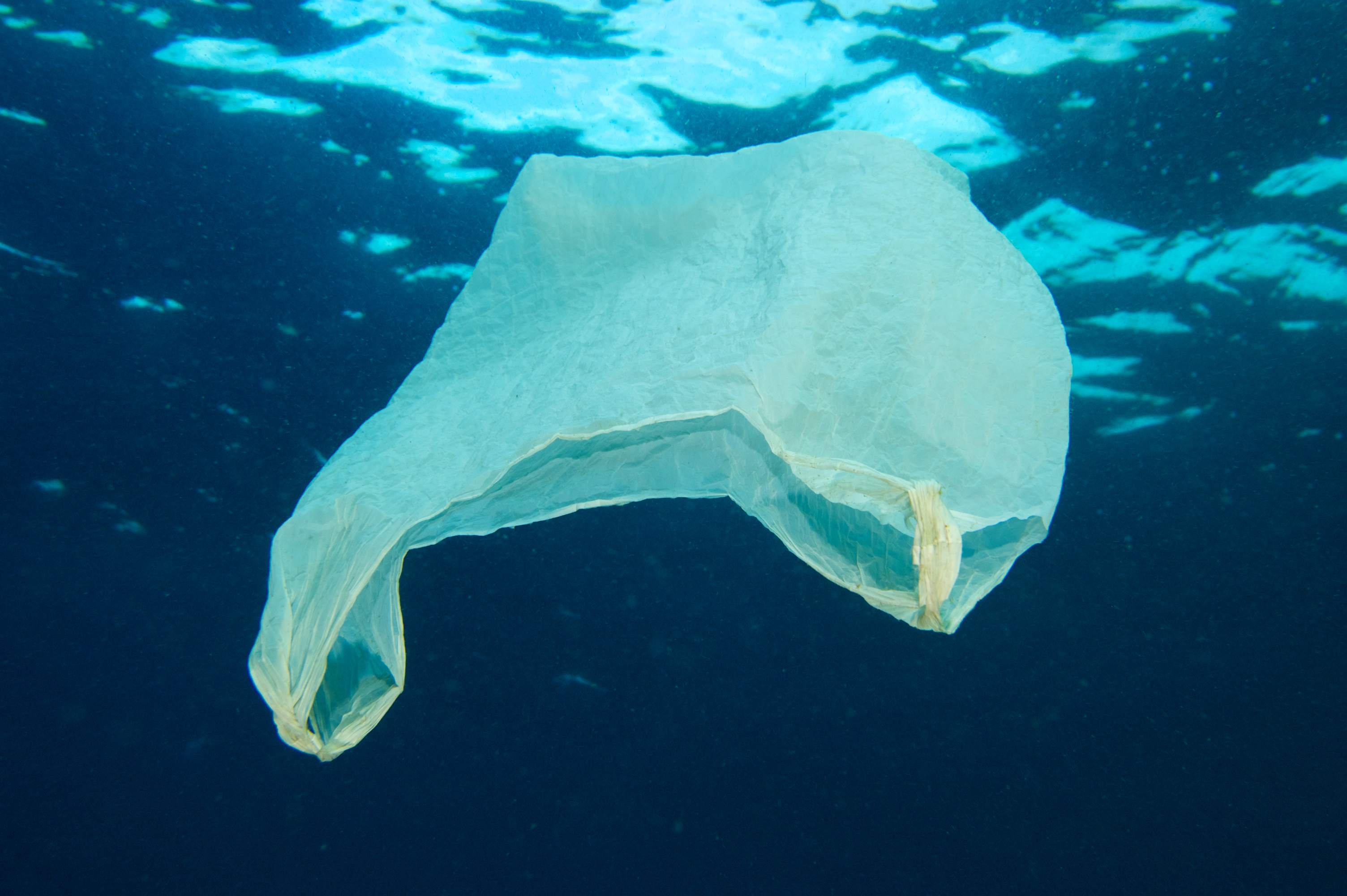 STOCK-PHOTO-Plastic_bag_floating_in_the_ocean_iStock-186312235.jpg