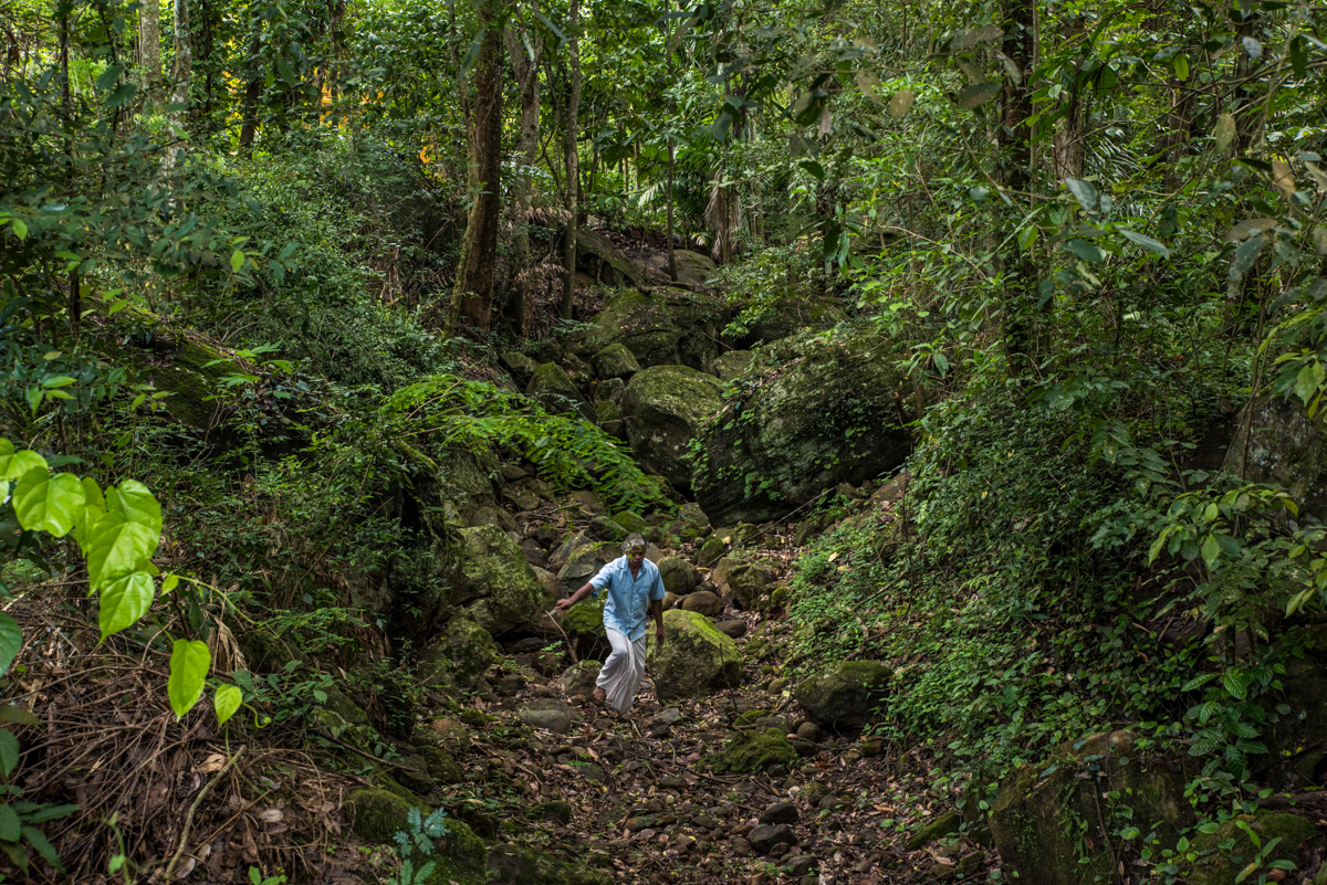 UNDP-Sri-Lanka-2019-Knuckles-forest-range.jpg