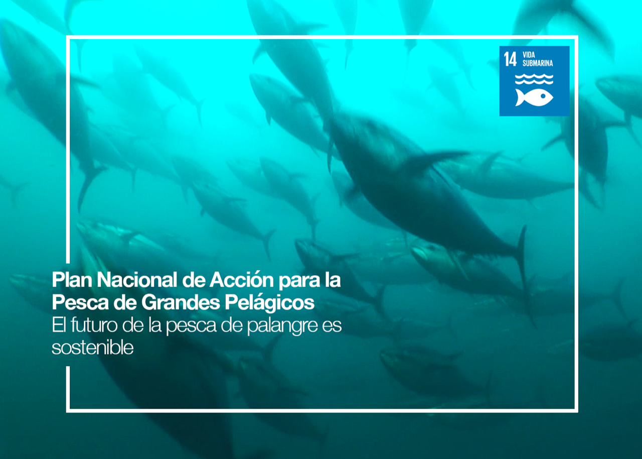Presenting Costa Rica's National Action Plan for Large Pelagic ...