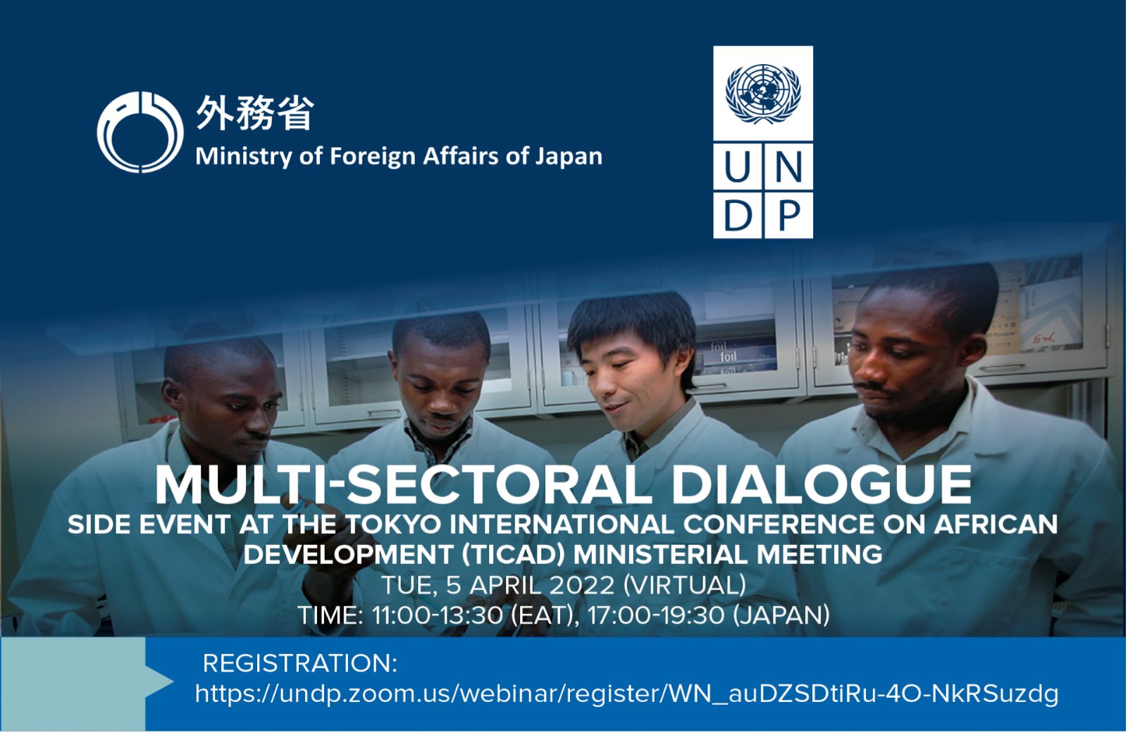 Multi-Sectoral Dialogue for TICAD8 | United Nations Development ...