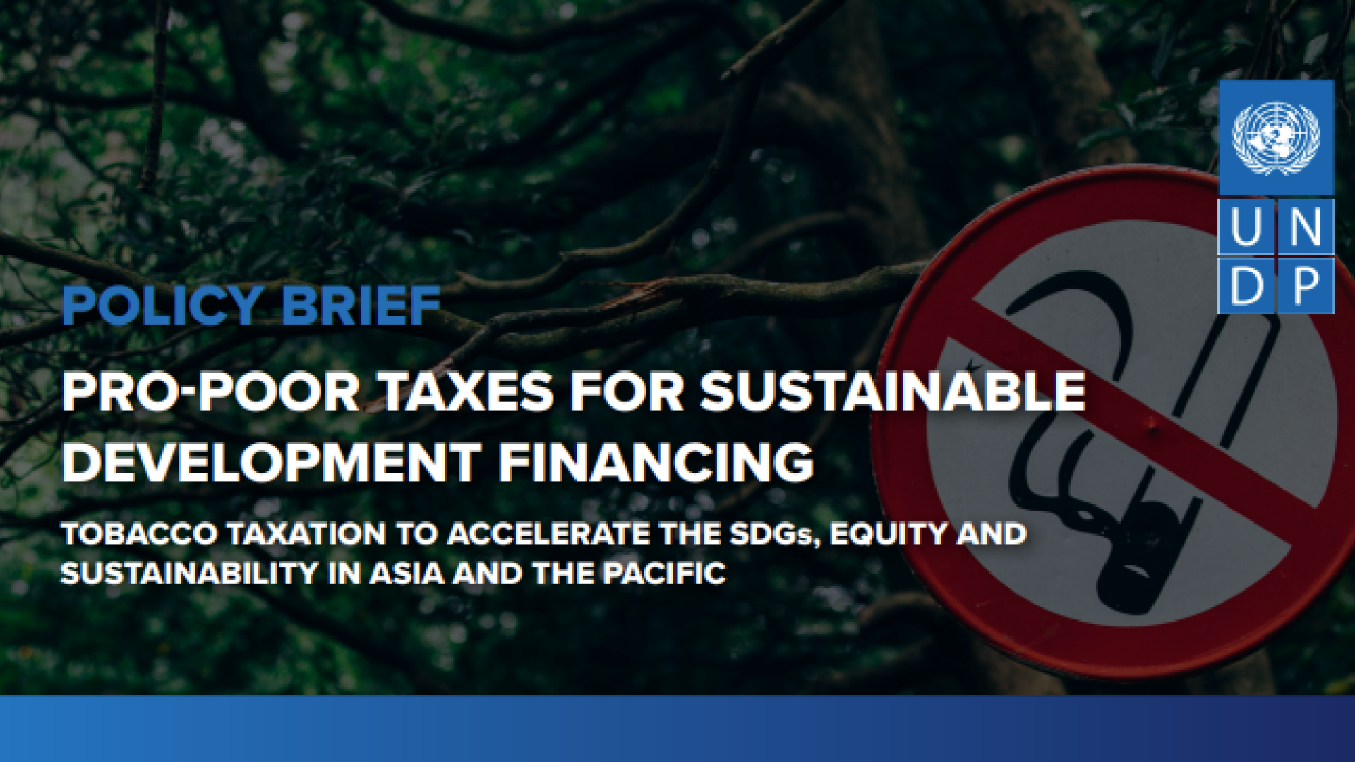Policy Brief: Pro-poor Taxes for Sustainable Development Financing