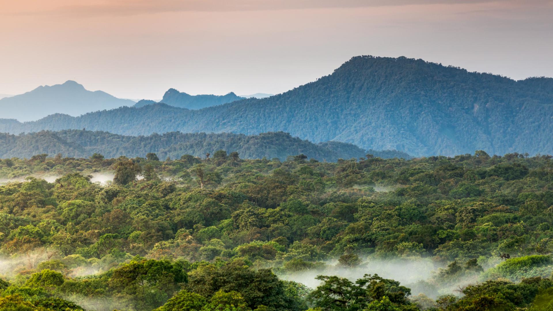 Colombia’s first National Ecosystem Assessment Sounds the Alarm for ...