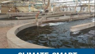 Climate Smart Aquaculture Toolkit