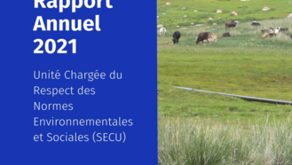 Annual Report 2021 cover with blue left panel and pastoral grassland with cows; UN logos.