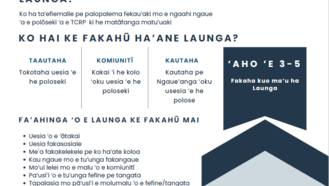 Bilingual informational poster with blue sections, icons, and bullet lists.
