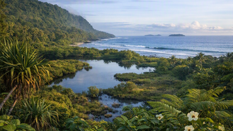 Coastal landscape with rocky tidal pools, white flowers, and lush greenery in the foreground.