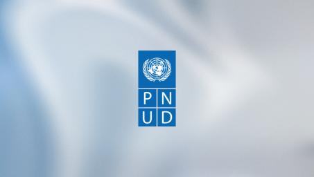 PNUD logo meta image