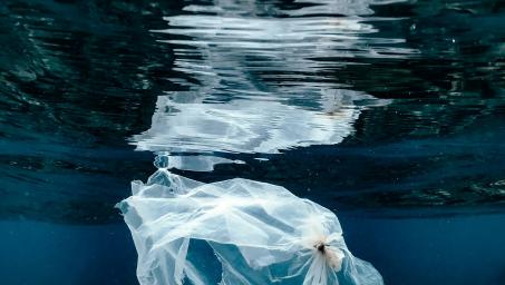 A single use plastic bag floating underwater near the surface in Bali, Indonesia. Photo: Naja Bertolt Jensen/Unsplash