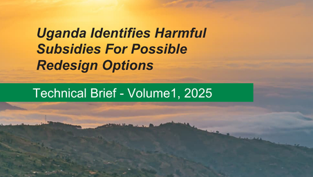 BIOFIN cover: sunrise over rolling hills with title about Uganda harmful subsidies.