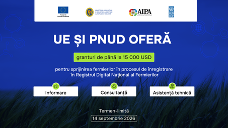 Blue EU-UNDP banner with three white cards labeled Information, Consultation, Technical assistance.