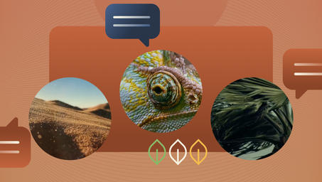 Graphic UI on orange background with three circular photos: desert dunes, animal eye, leaf.