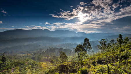 UNDP-Sri-Lanka-2019-landscape-1600073732.jpg