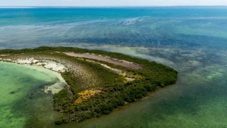 cuba-wetlands-island.JPG