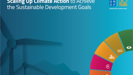 COVER_CC_UNDP_Cop22.PNG
