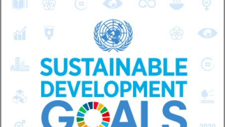 UNDP-SDG-booklet-cover-2015.png