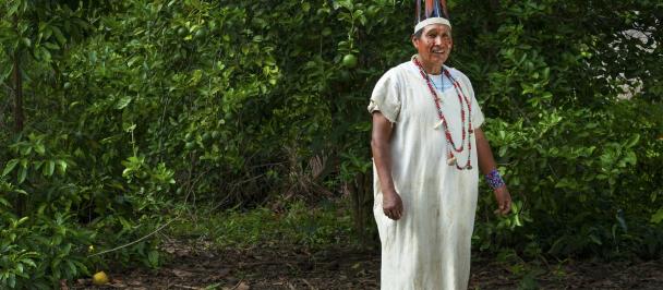 UNDP-PE-indigenous-peoples-Amazon-forest-Goal13-Goal2-small.jpg