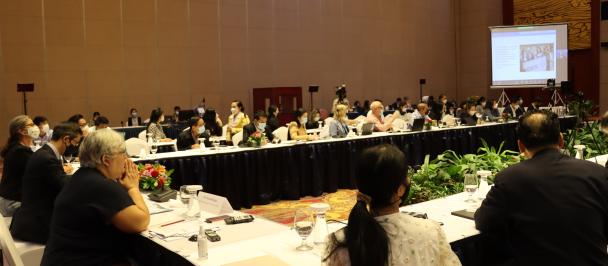 Representatives of UNDP and stakeholders paying attention to presentation