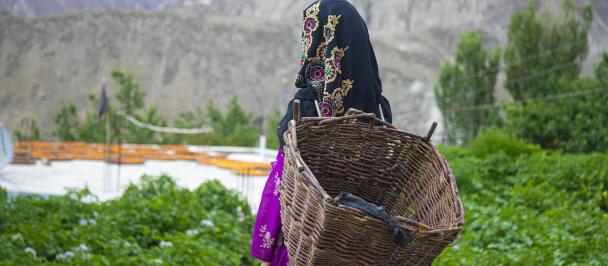 A girl in traditional attire looks into a green landscape in Pakistan.