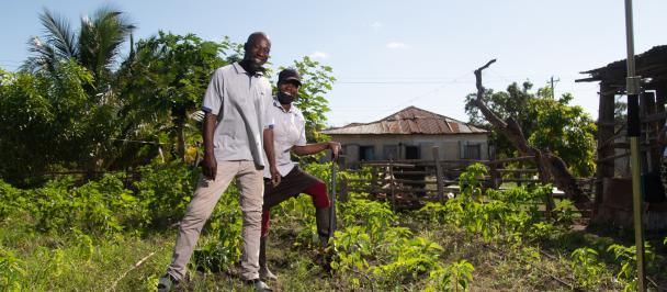 Husband and wife backyard farmers grow food during COVID