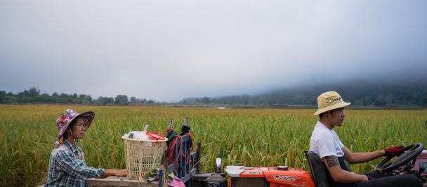 farmers in Thailand