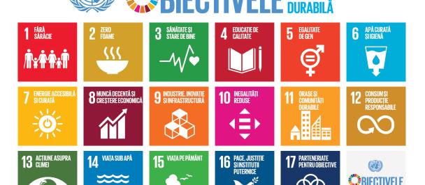 SDG poster