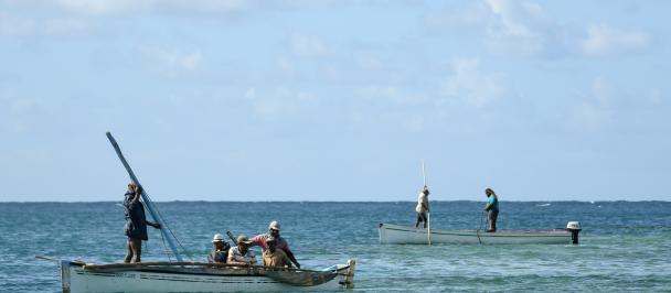 Artisanal fishers in Rodrigues