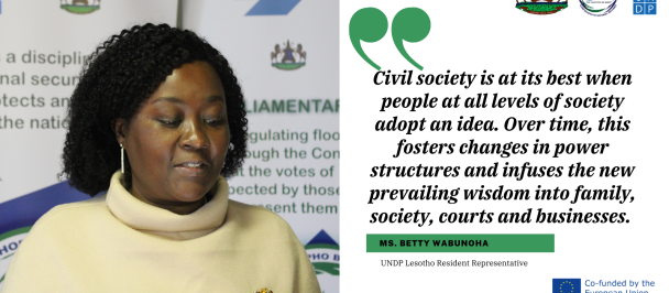 UNDP Lesotho Resident Representative