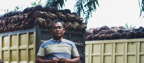 2015 copyright UNDP Indonesia Sustainable Palm Oil Initiative  Agusriady Saputra 11.jpg