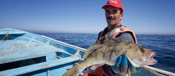 Small-scale fishers in Mexico out in the sea press release photo
