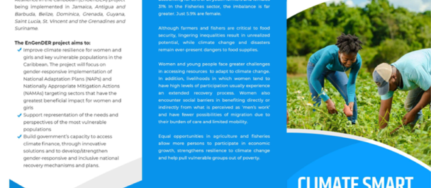 Cover - Brochure for 'Strengthening Adaptive Capacity of Farmers and Fishers' project