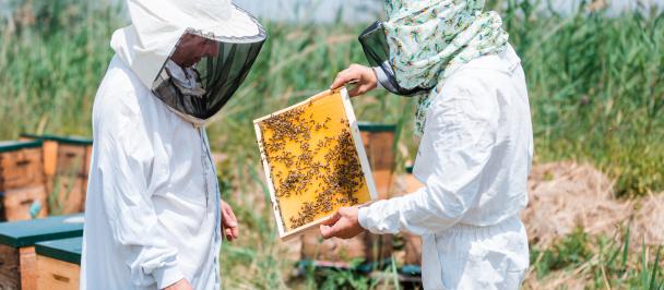 Moldova | United Nations Development Programme