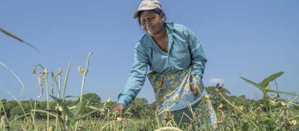 A woman farmer tends to crops against a blue sky.