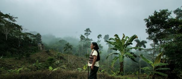 Photo: UNDP Peru environmental justice ROLHR